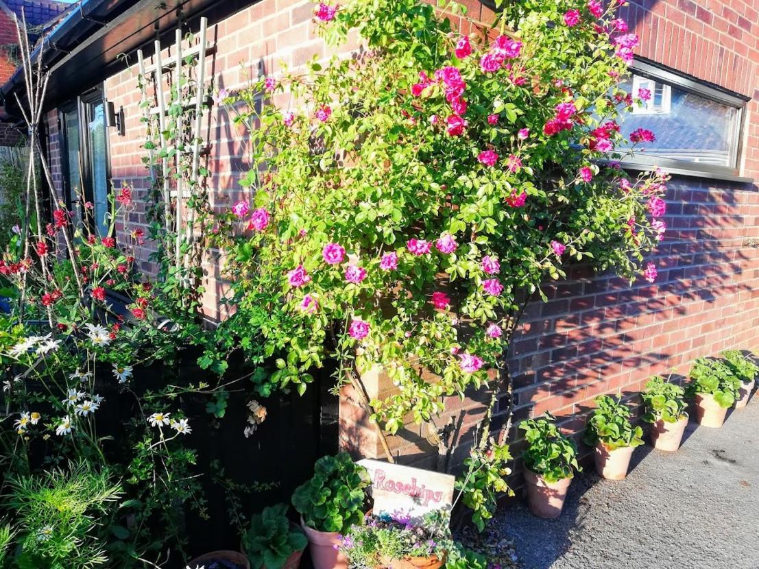 Ferienwohnung Rosehips at Kerensa, Naburn York Exterior foto